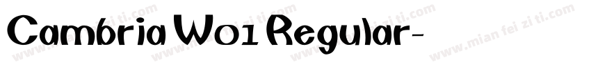 Cambria W01 Regular字体转换